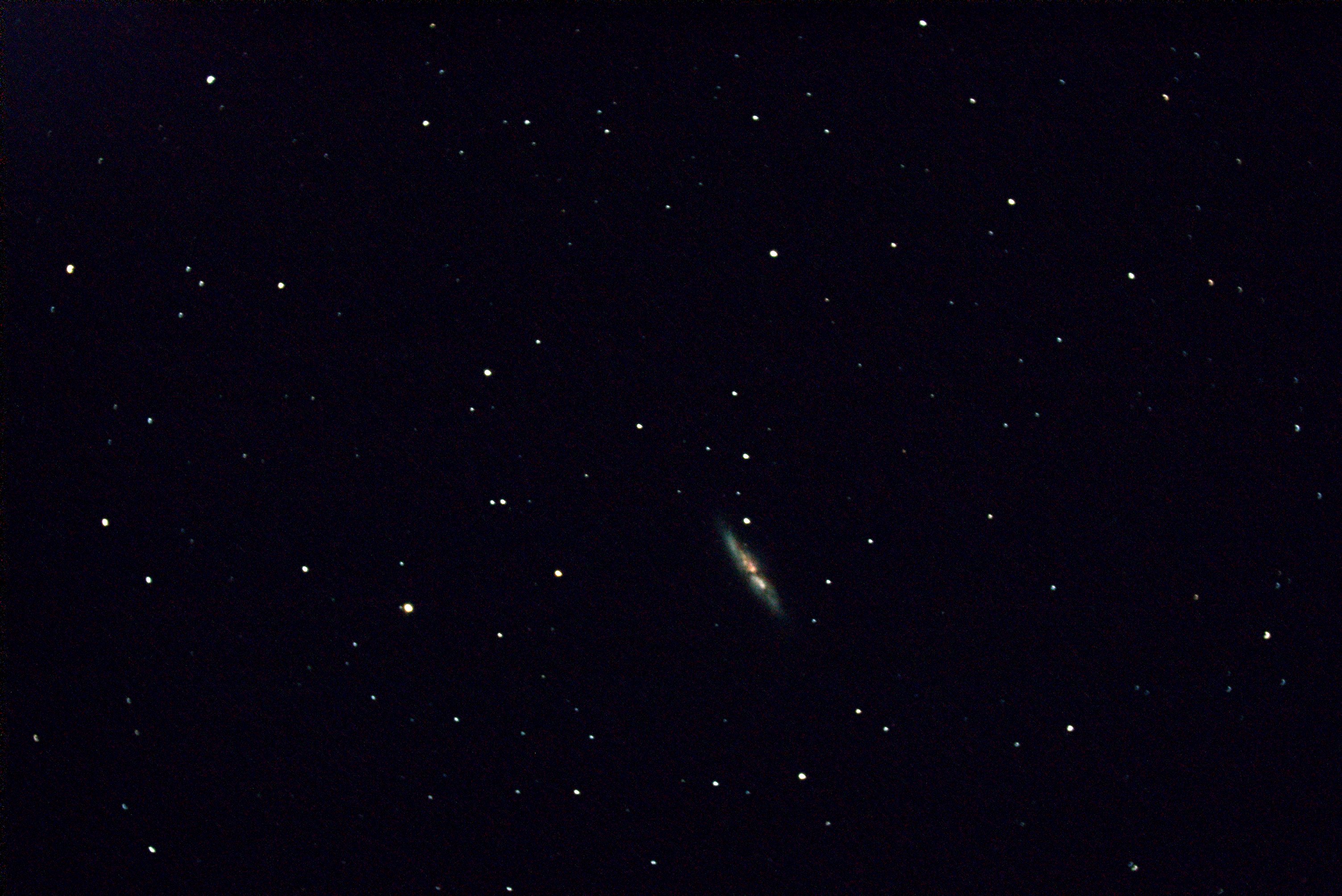 M82