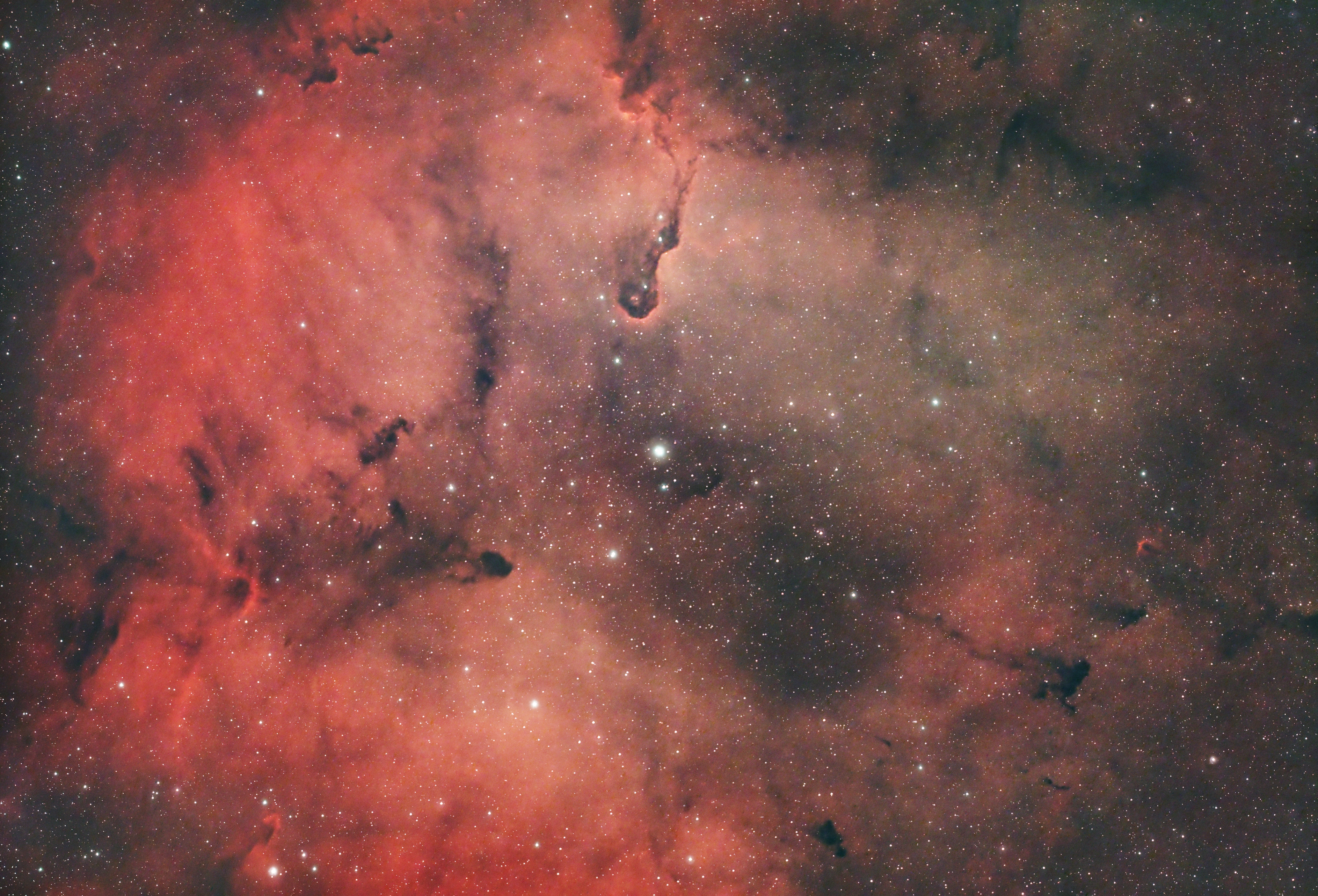 Elefantenrüsselnebel IC1396
