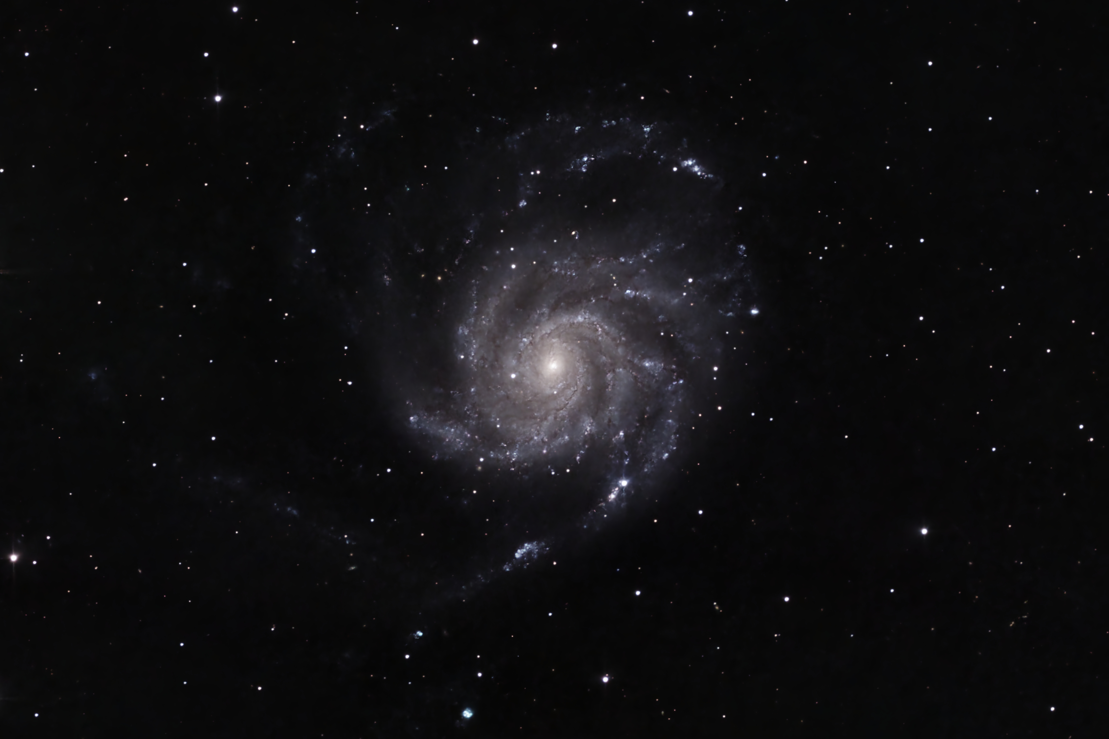 M101 mit Supernova