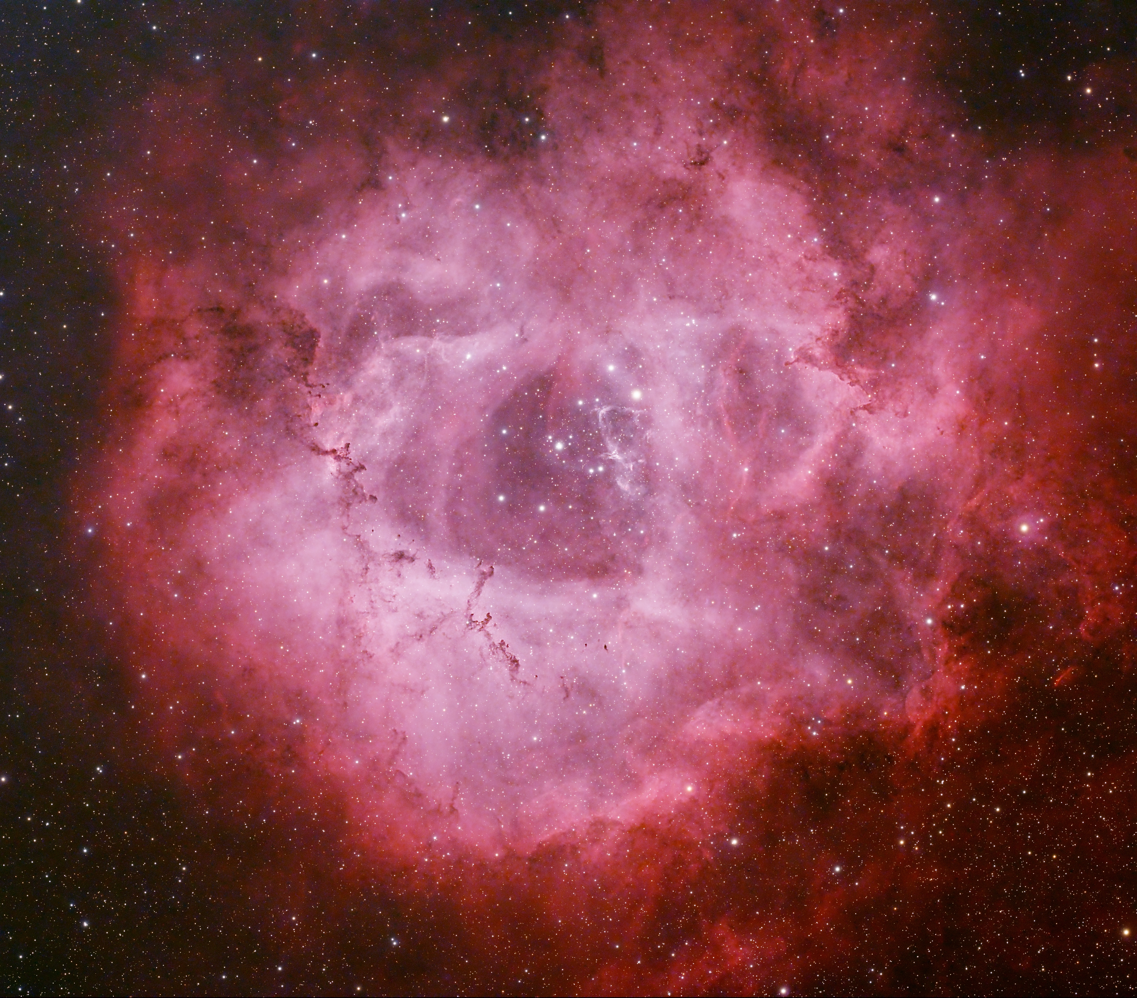 Rosetten Nebel NGC2244