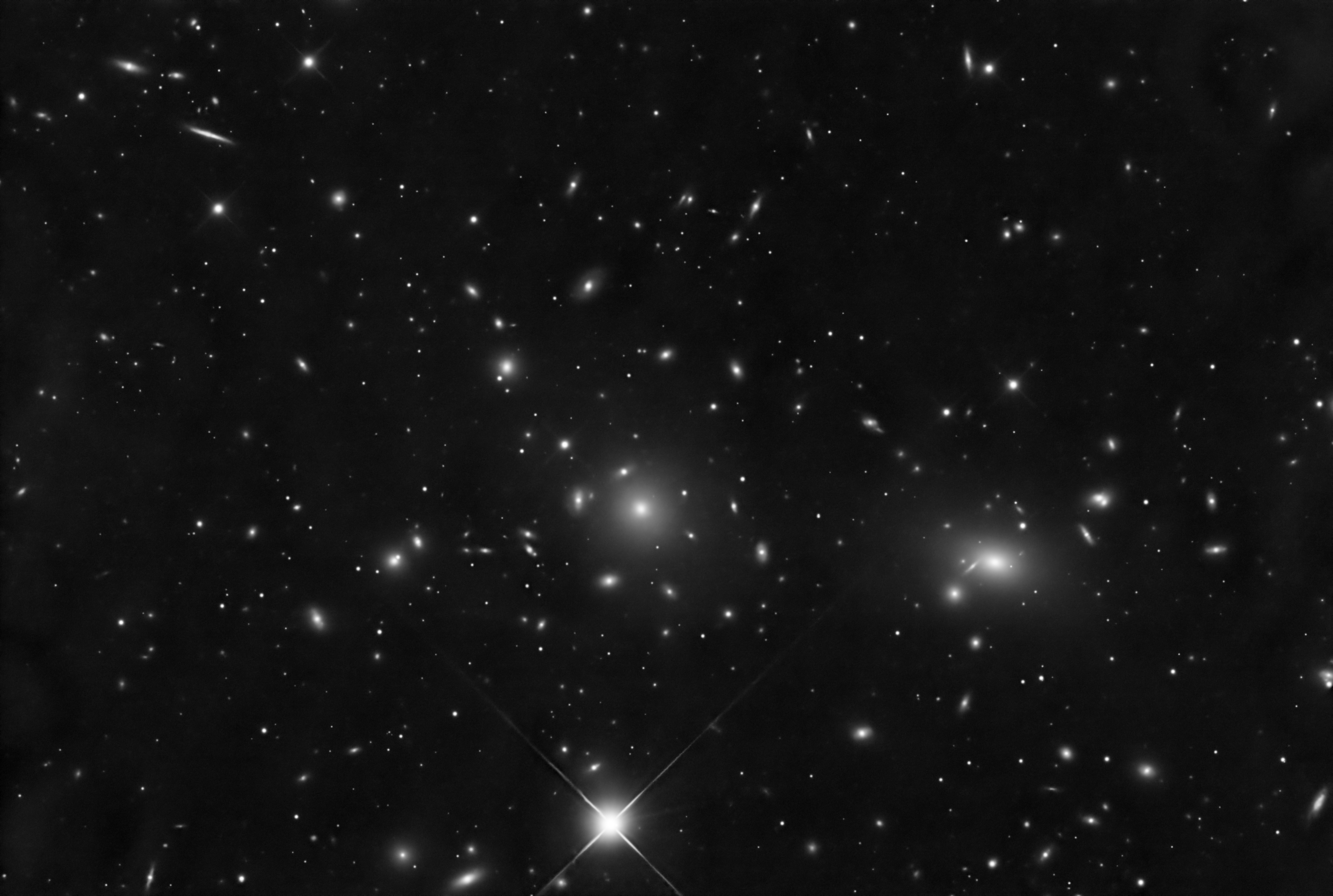 Coma Galaxienhaufen