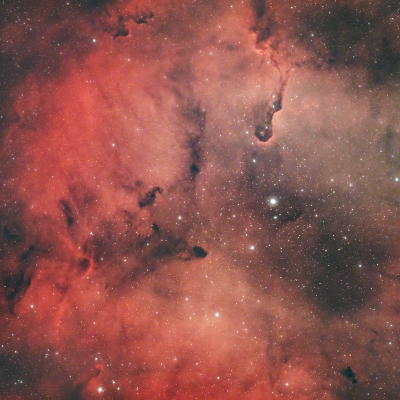 Elefantenrüsselnebel IC1396 vom 12.12.2022