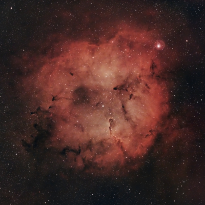 Elefantenrüsselnebel IC1396 vom 08.07.2023
