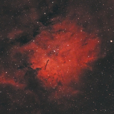 NGC6823 vom 22. und 23.08.2024