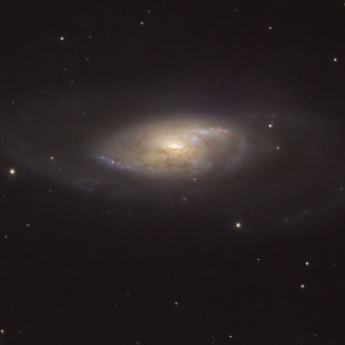 M106 vom 19.03.2026